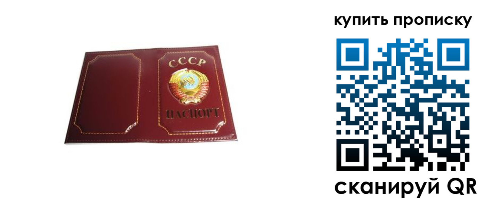 прописка законно в Карпинске